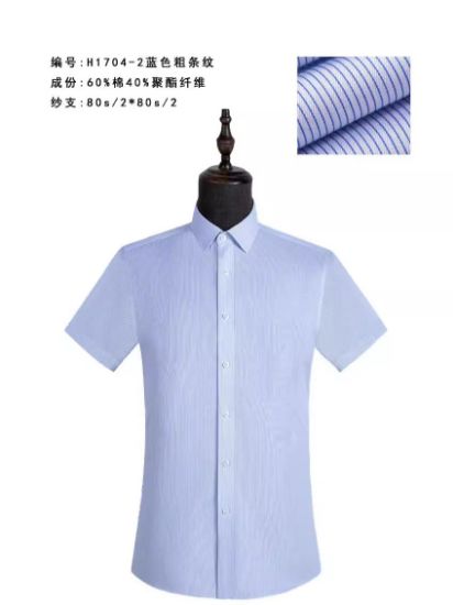 Picture of 女士衬衣