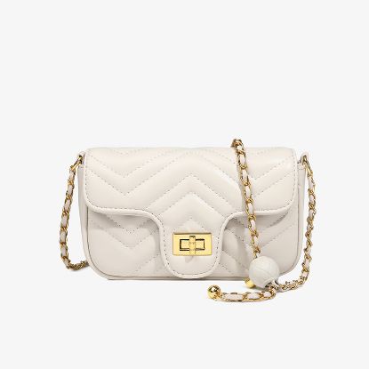 Picture of 链条女包