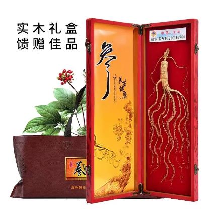 Picture of 宝芝源参茸特产